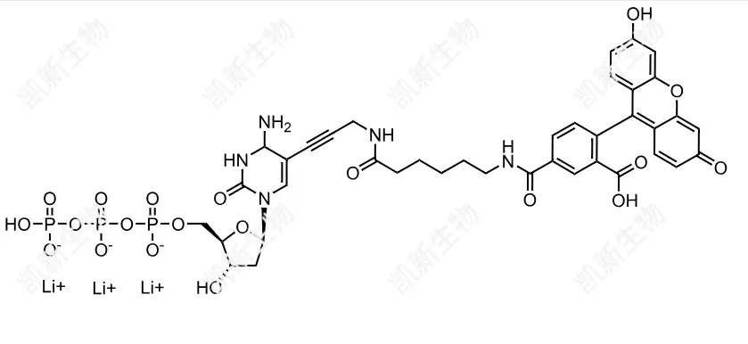 FAM-11-dCTP，熒光素標(biāo)記脫氧胞苷三磷酸：高效熒光標(biāo)記的脫氧胞苷三磷酸衍生物及其分子生物學(xué)應(yīng)用