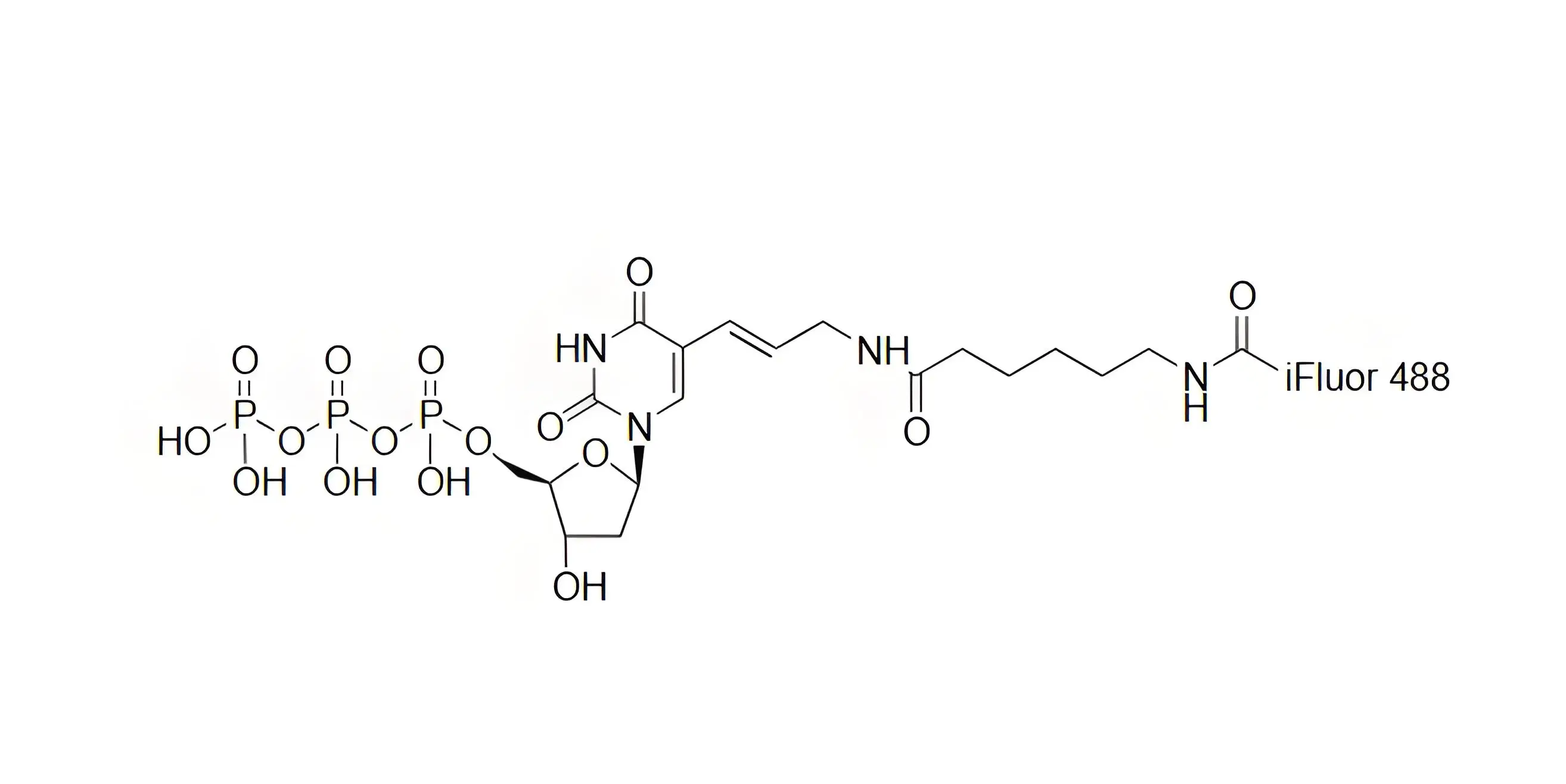 iFluor488-dUTP，iFluor488-脫氧尿苷三磷酸在PCR和逆轉(zhuǎn)錄中的表現(xiàn)