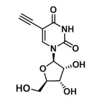 5-Ethynyluridine，5-EU，69075-42-9，核心結(jié)構(gòu)特點(diǎn)是在尿苷的5位碳上引入了一個乙炔基