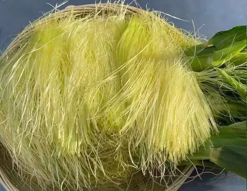 痛風(fēng)食療指南！8種低嘌呤食物建議常吃，溫和緩解不適少復(fù)發(fā)